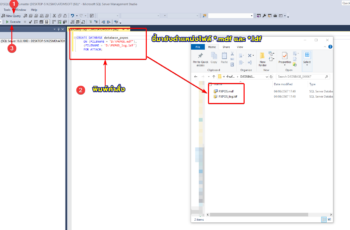 การ Restore ฐานข้อมูล SQL SERVER จากไฟล์ *.mdf, *.ldf